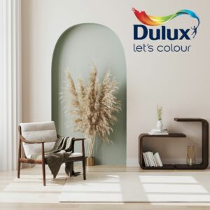 Dulux Influencer Marketing Case Study